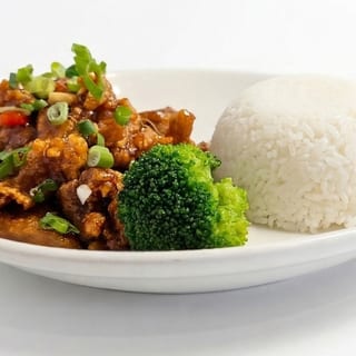 Simon's Garlic Chicken Rice Plate